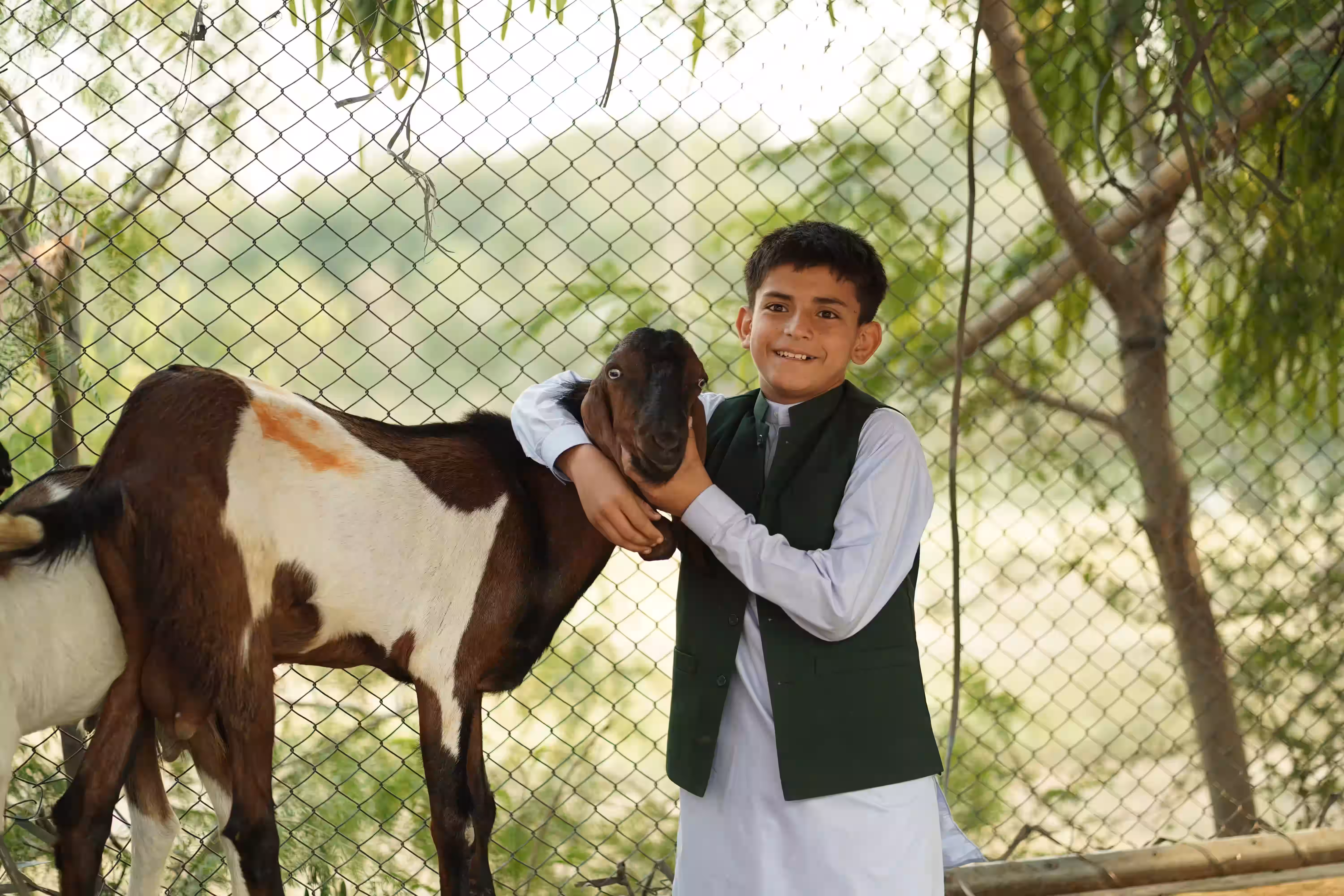 Sadaqah Sacrifice meat distribution at Pakistan Sweet Home